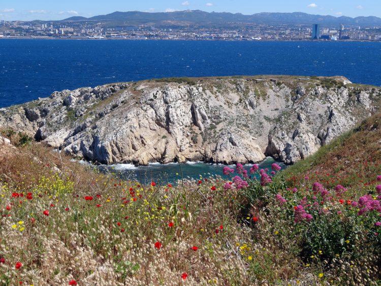 Calanque - Frioul - Marseille