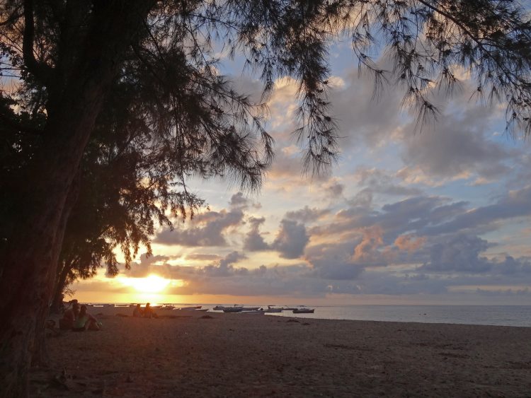 Coucher de soleil - Filao - Plage Tamarin - Ile Maurice