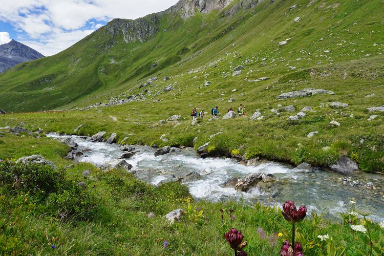 Torrent - Rando - Champagny - Savoie - Vanoise