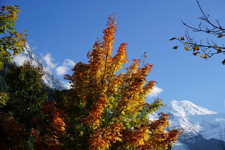 Automne - Chamonix Mont Blanc - Haute Savoie