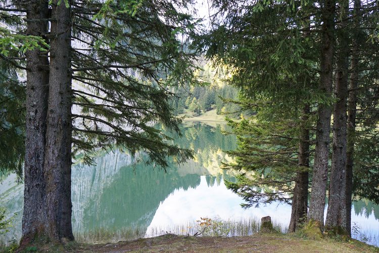 Rando au Lac Bénit - Massif du Bargy - Haute Savoie