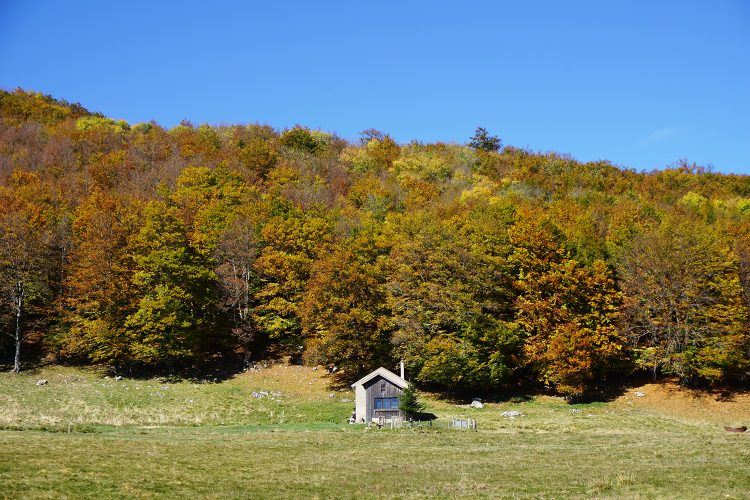 rando automne - Col de Rousset - Vercors - Drôme