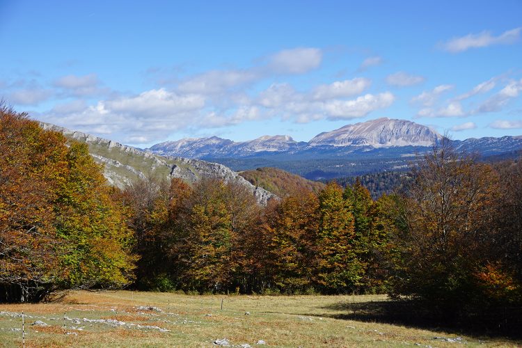 rando automne - Col de Rousset - Vercors - Drôme