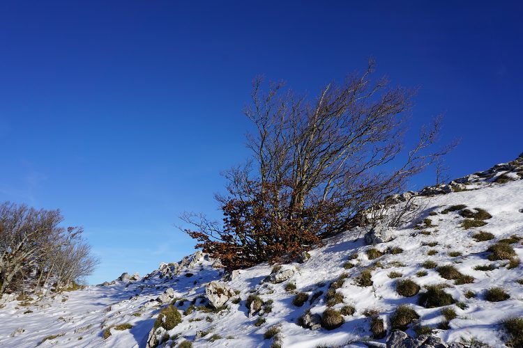 rando neige - Roc de Toulau - Col de la Bataille - Vercors - Drôme