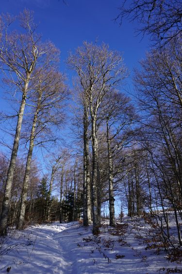 rando neige Pissenible - Col de la Bataille - Vercors -Drôme