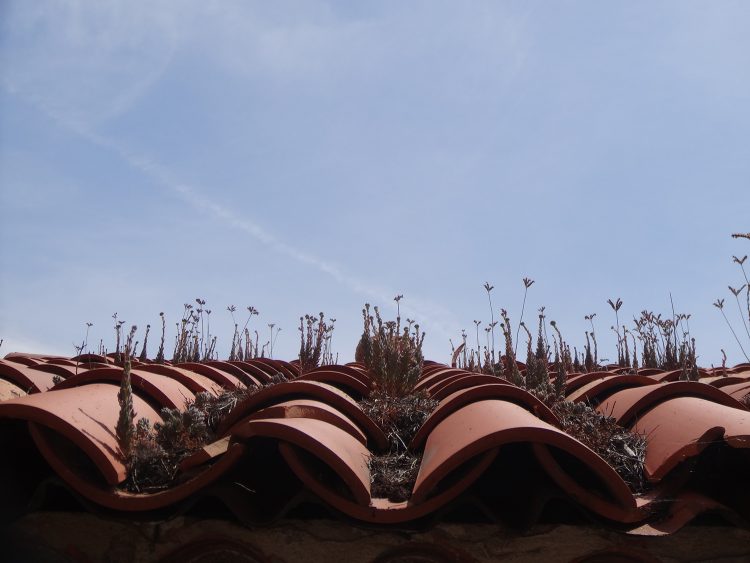 Toit d'un cabane abandonnée au dessus de la calanque d'En Vau - Cassis