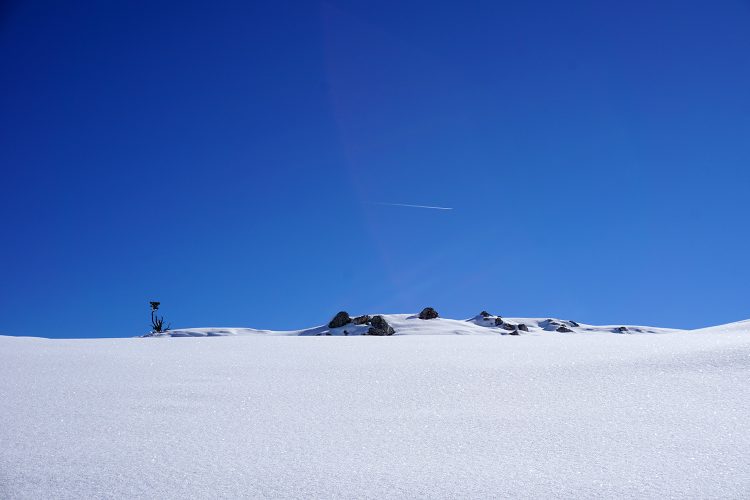 Plateau de Font d'Urle - Vercors - Drôme