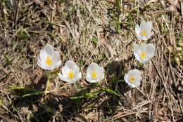 Vercors – couleurs printemps