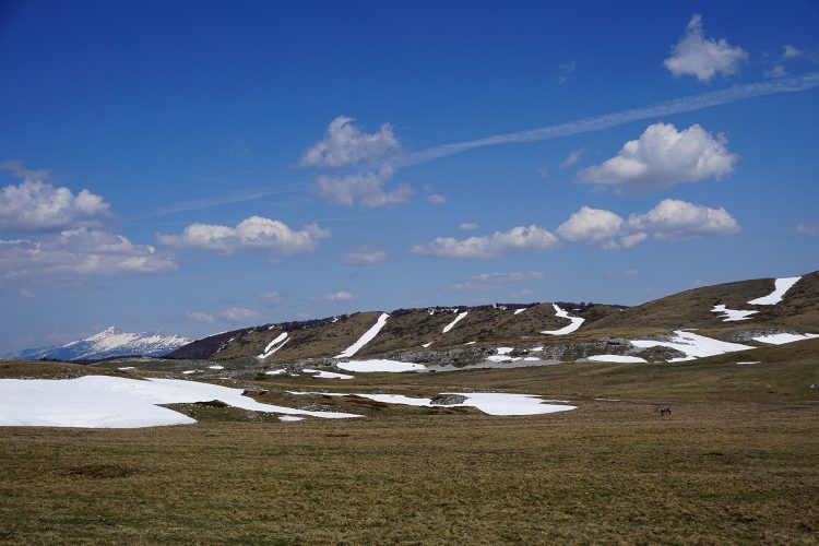 Plateau de Font d'Urle - Vercors - Drôme