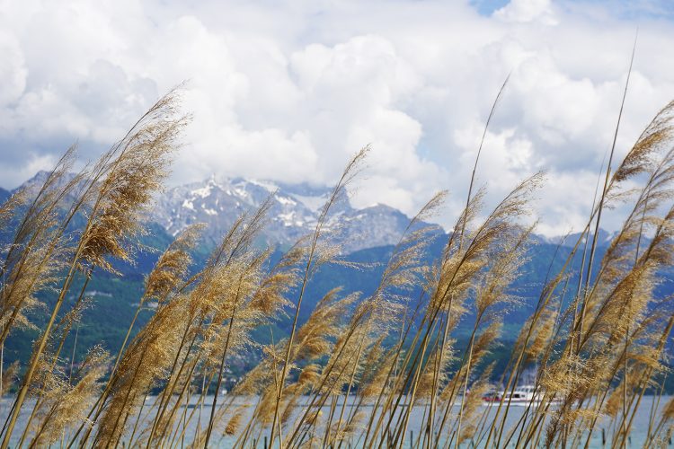 La Tournette depuis Sévrier - Lac d'Annecy - Savoie Mont Blanc
