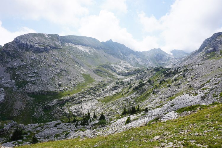 Sur le chemin du col des Deux Sœurs - Grande Moucherolle - Villard de Lans - rando Vercors
