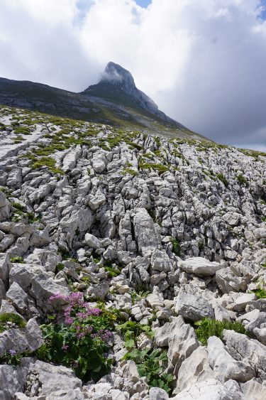 La Grande Moucherolle - Col des Deux Sœurs - Villard de Lans - rando Vercors